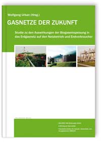 Buch: Gasnetze der Zukunft