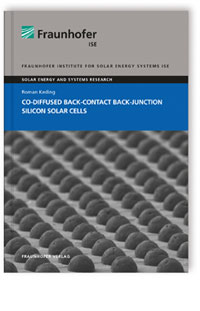 Buch: Co-diffused Back-Contact Back-Junction Silicon Solar Cells