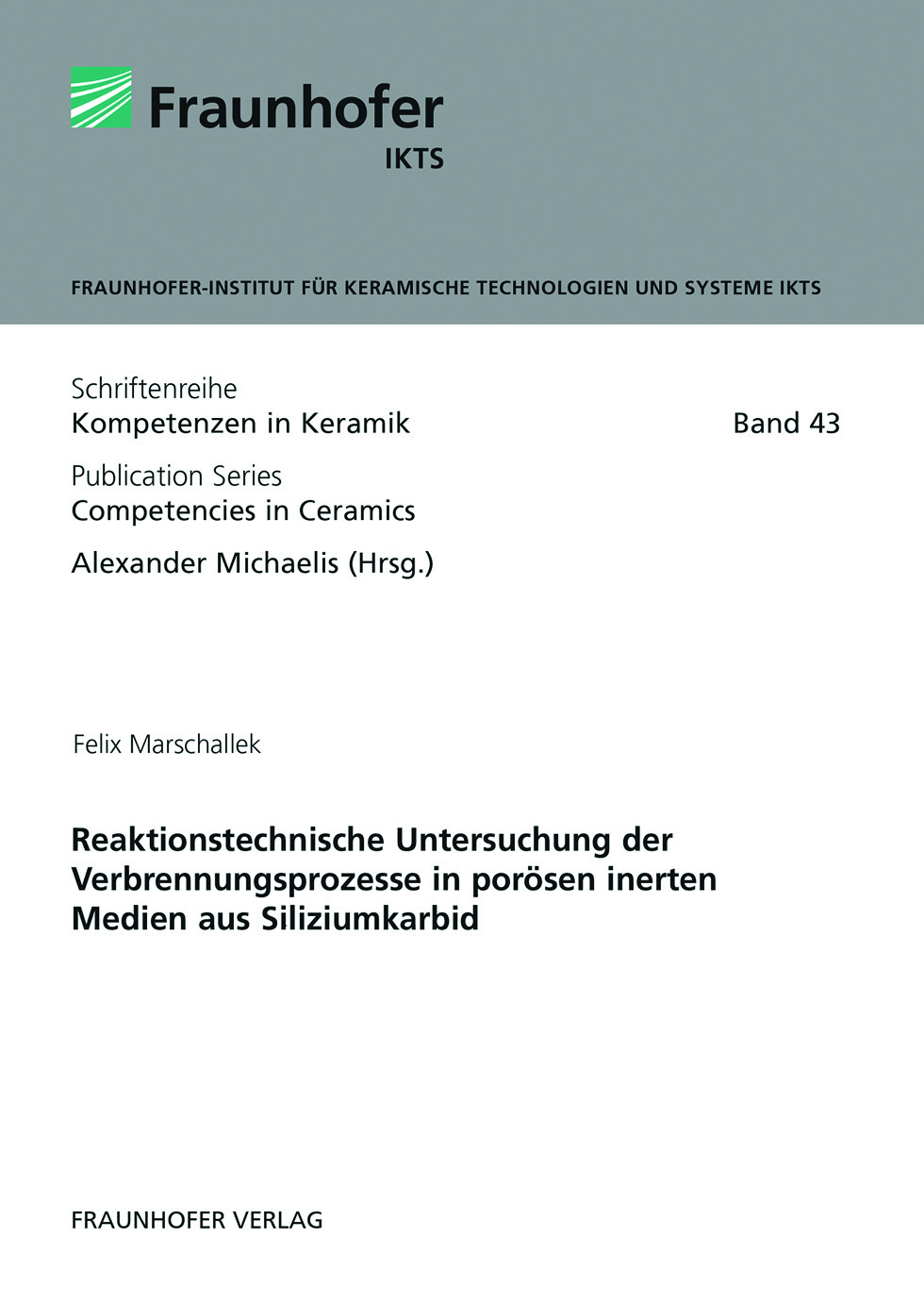 Buch: Reaktionstechnische Untersuchung der Verbrennungsprozesse in porösen inerten Medien aus Siliziumkarbid