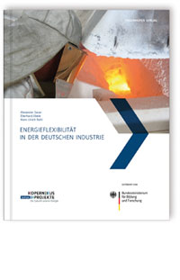 Buch: Energieflexibilität in der deutschen Industrie