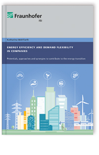 Buch: Energy efficiency and demand flexibility in companies