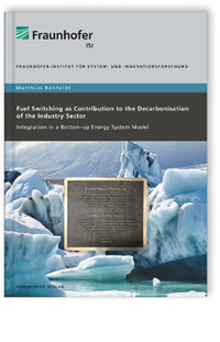 Buch: Fuel Switching as Contribution to the Decarbonisation of the Industry Sector