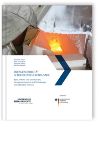 Buch: Energieflexibilität in der deutschen Industrie