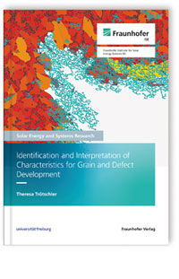 Buch: Identification and Interpretation of Characteristics for Grain and Defect Development