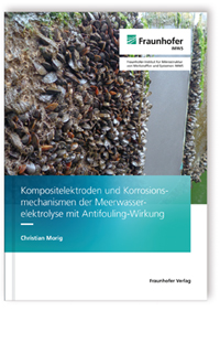 Buch: Kompositelektroden und Korrosionsmechanismen der Meerwasserelektrolyse mit Antifouling-Wirkung
