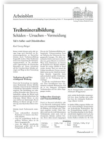 Treibmineralbildung: Schäden - Ursachen - Vermeidung