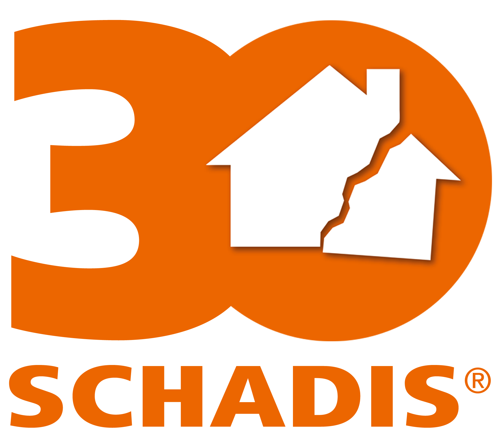 30iger Logo